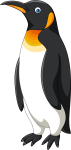 penguin olm